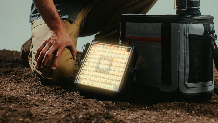 SHADOWBOX SMART LIGHTS